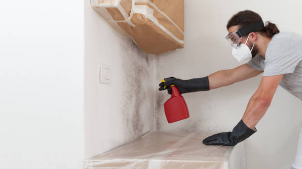 Professional Crawl Space Mold Removal technician working in Spencerville, MD